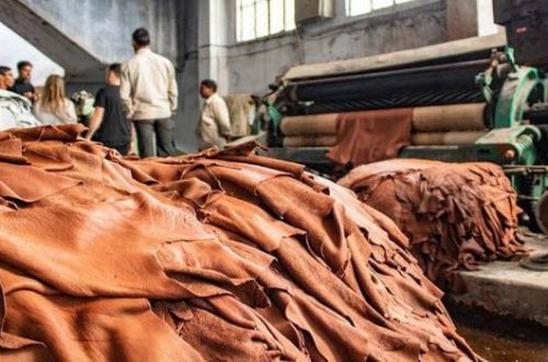 Sự giao thoa giữa nghệ thuật và công nghệ