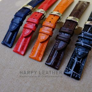 Day-da-dong-ho-ca-sau-cao-cap